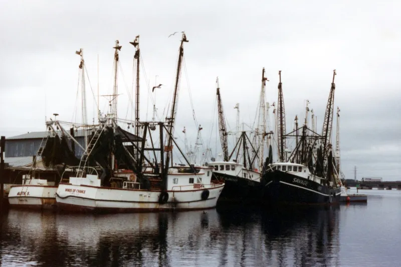 Talking About the Water Without Talking About the Fight: Coastal Science in Skeptical Communities
